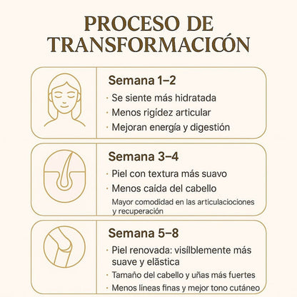 Colágeno 5X: Fórmula Avanzada para Piel Joven, Cabello Saludable y Articulaciones Fuertes – 240 Cápsulas de Alta Absorción Con 60% Descuento🔥