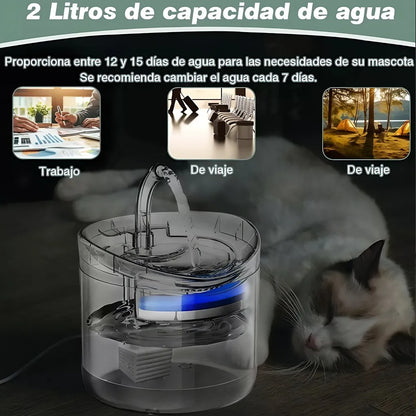 Fuente de agua y filtro para Perros y gatos | Mantén hidratados a tus mejores amigos
