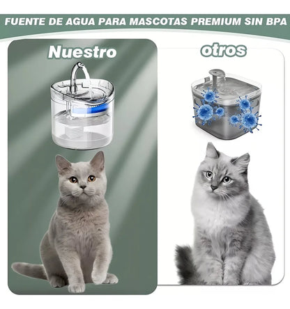 Fuente de agua y filtro para Perros y gatos | Mantén hidratados a tus mejores amigos