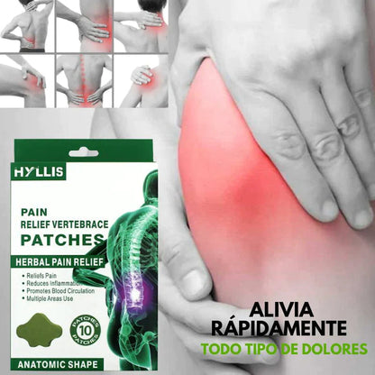 PARCHES PARA EL DOLOR DE ARTICULACIONES, LUMBAR, CIÁTICA Y ESPALDA - SALUVERA® 2x1